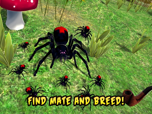 Black Widow Insect Spider Life Simulator On The App Store - spiders eat ants roblox