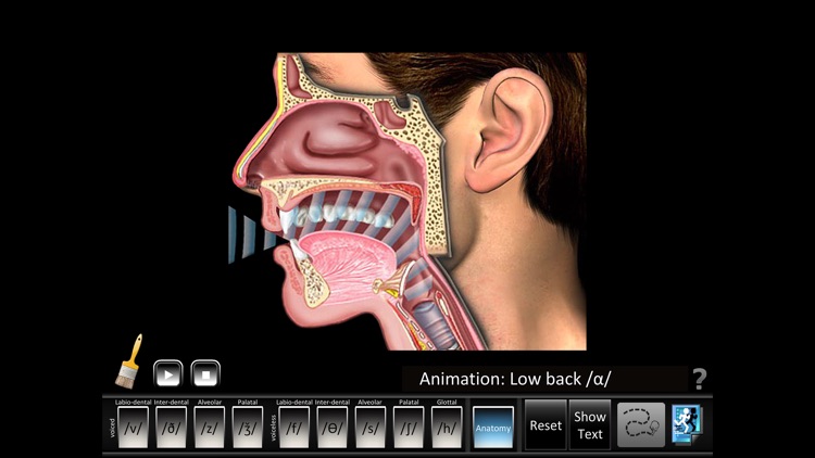 Fricatives screenshot-3