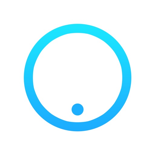 Momentum Camera
