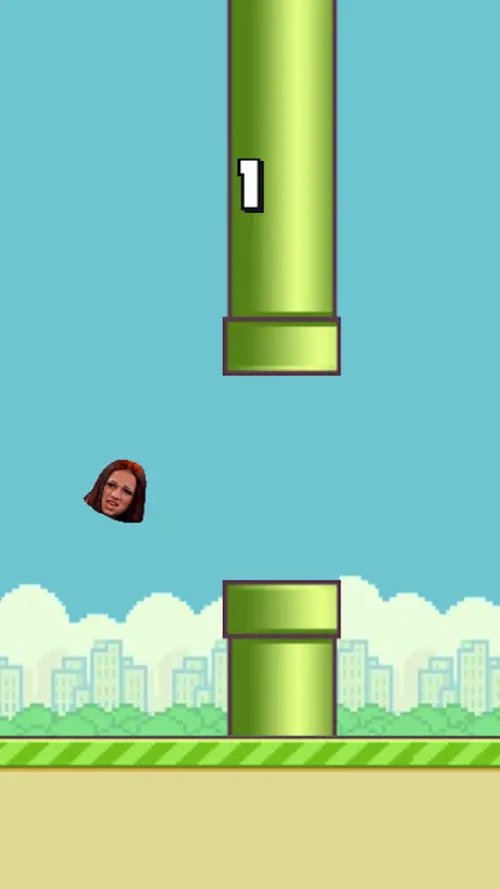 Flappy Meme 2