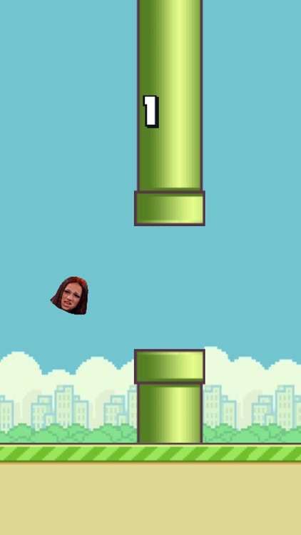 Flappy Meme 2