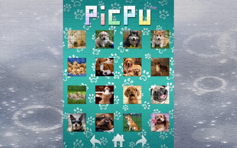 Screenshot #1 pour PicPu Dog Puzzle