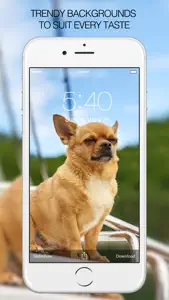 Dog Wallpapers & Pictures – Cute Dogs screenshot #5 for iPhone