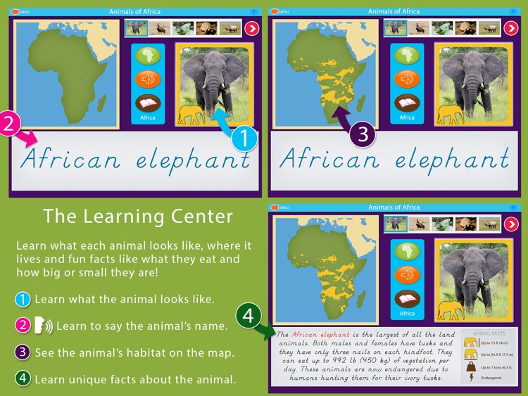 Animals of Africa - Montessori Geography