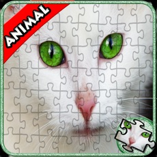Activities of Jigsaw Puzzle: Animal