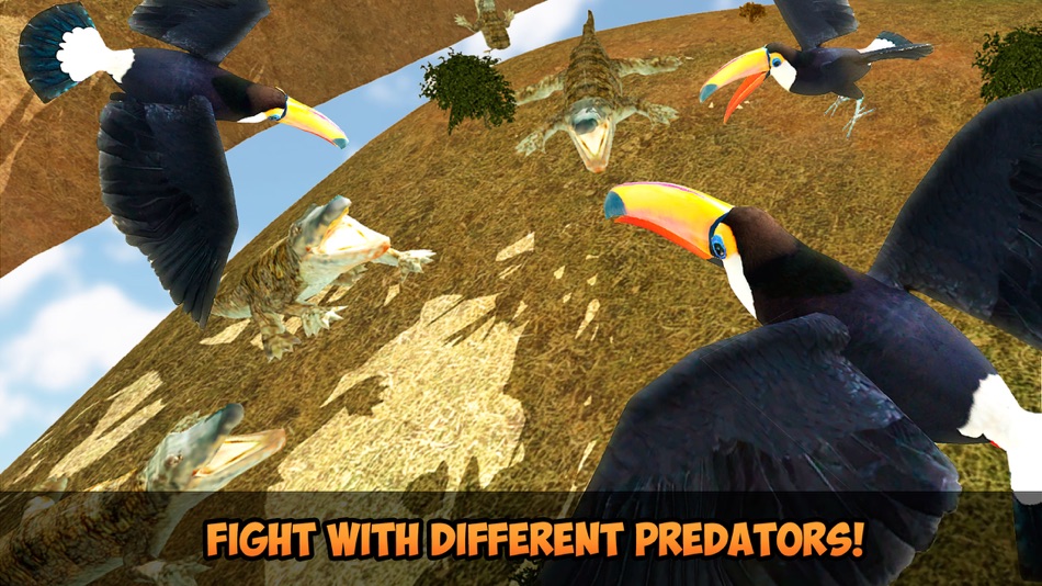 #2. Toucan Simulator 3D: Bird Life (iOS) Podle: Tayga Games OOO