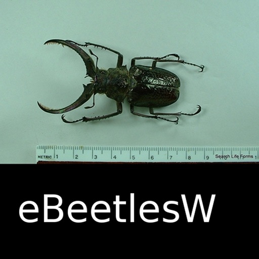 Beetles of the World - Coleoptera - A Beetle App Icon