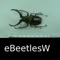 eBeetlesW - Beetles of the World - A Beetle App is a member of the World Life Forms family of products designed to provide easy to use, powerful tools for accessing images and information of the world's diverse life forms