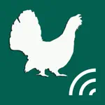 Охотничий манок на боровую и луговую птицу App Contact