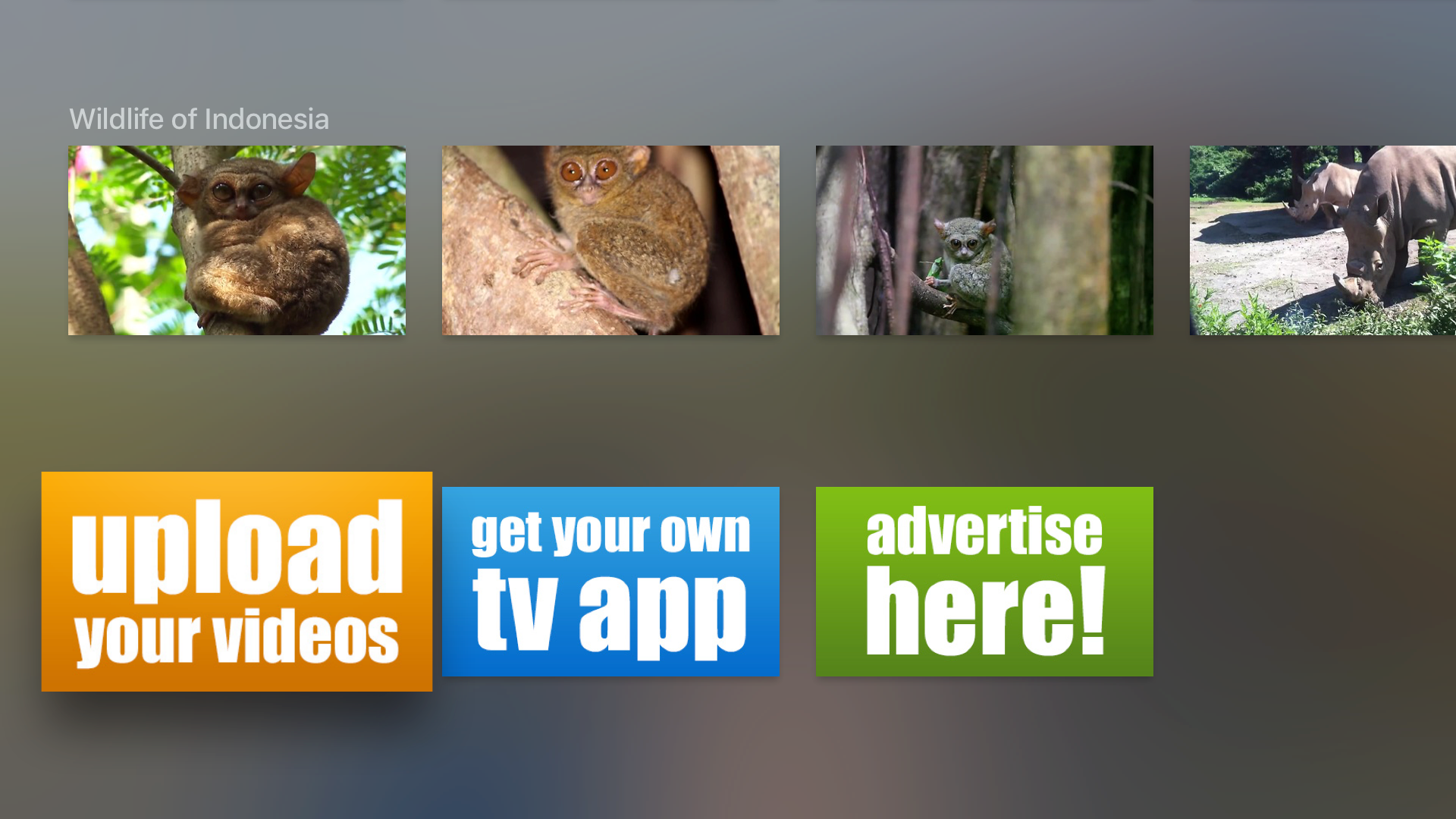 Indonesia Channel screenshot 3