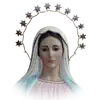 My Holy Rosary (with voice reading) contact information