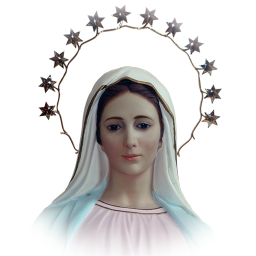 My Holy Rosary (with voice reading) App Contact