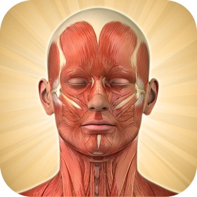 螢幕擷取畫面 (5) Know Your Body Lite Edition