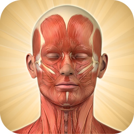 Know Your Body Lite Edition icon