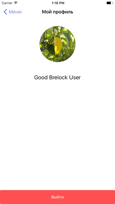 Screenshot #2 pour Brelock