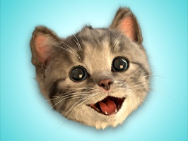 Enjoy our amazing Little Kitten Stickers to express your feelings like love, sadness, curiosity, anger and happiness
