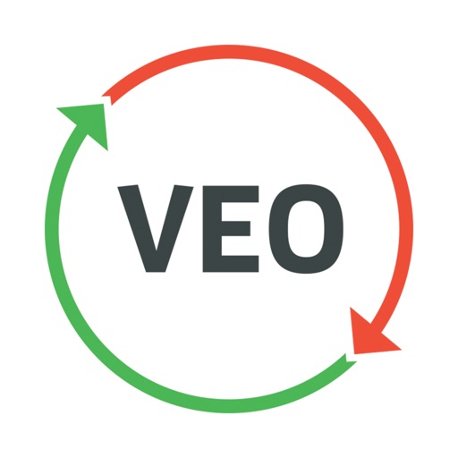 VEO - Video Enhanced Observation