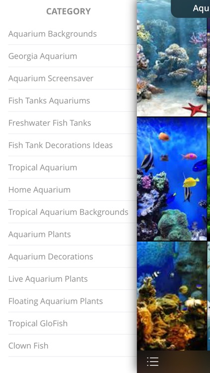 Aquarium Live Wallpaper | Nature coral ocean scene