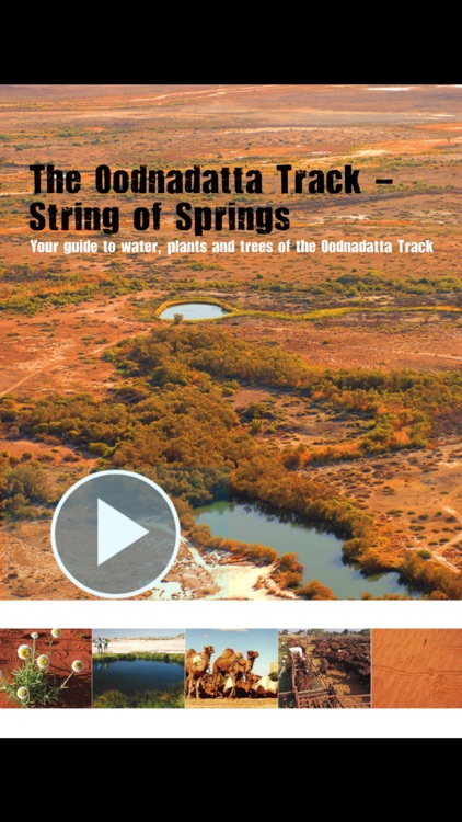 Oodnadatta Outback Track Guide