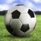 Enjoy this cool Fifa style 3D soccer game
