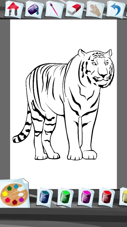 Zoo Animals Coloring Book