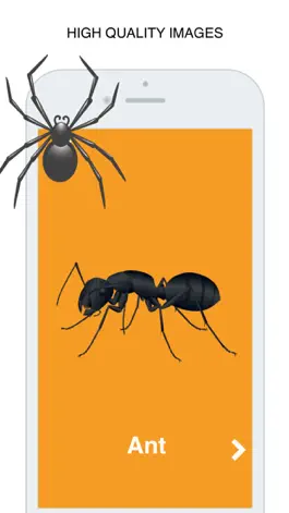 Game screenshot Insects Flashcard for babies and preschool apk
