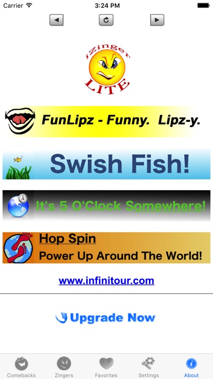 iZingerLite screenshot-4