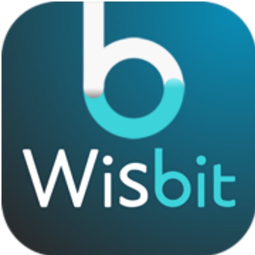 Wisbit