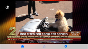 News Maker - Create The News screenshot