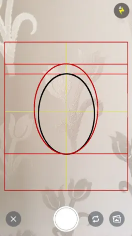 Game screenshot Foto Biometrik hack