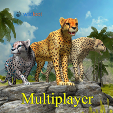 Activities of Cheetah Multiplayer