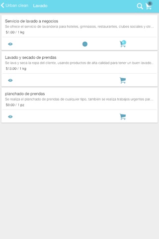 Urban clean lavanderia screenshot 2