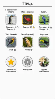 Птицы мира - Викторина о птицах со всего света айфон картинки 3