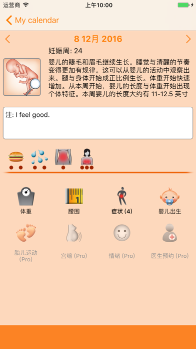 WomanLog Pregnancy Calendar screenshot