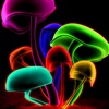 Neon Wallpapers – Neon Arts & Neon Pictures HD - iPhoneアプリ
