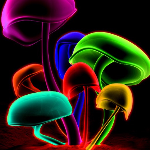 Neon Wallpapers – Neon Arts & Neon Pictures HD icon