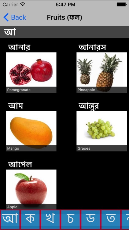 Learn Bengali screenshot-3