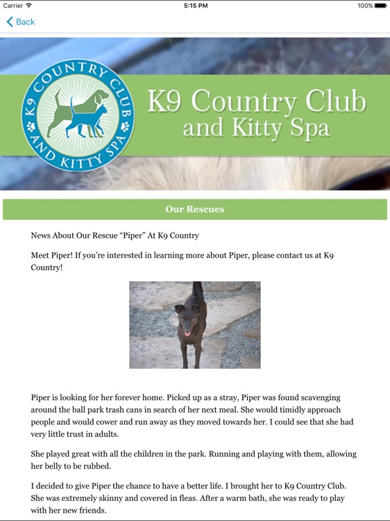 K9 Country Club and Kitty Spa HD