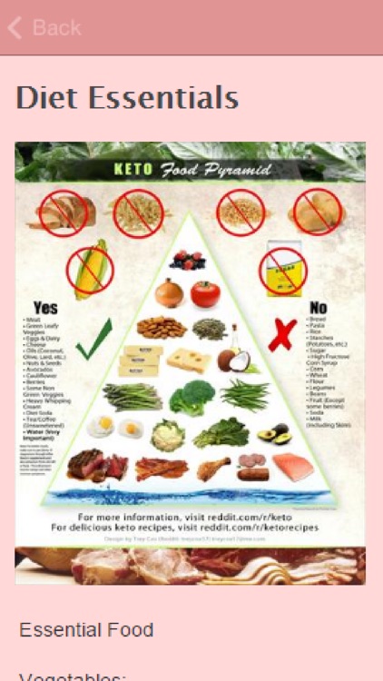 Ketogenic Diet Recipes.