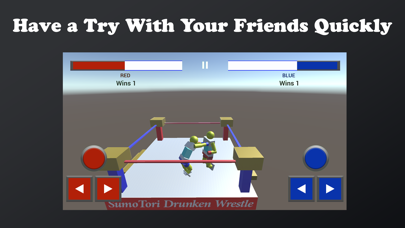 Sumotori Drunken Wrestle Dreams Fun screenshot 5