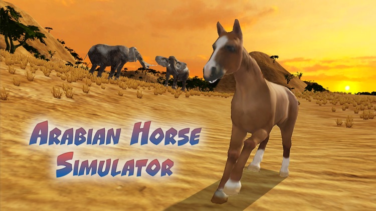 Arabian Horse Simulator