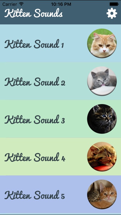 Kitten Sounds – Cat Meow Sound