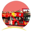 Hop-On Hop-Off Bus Tours