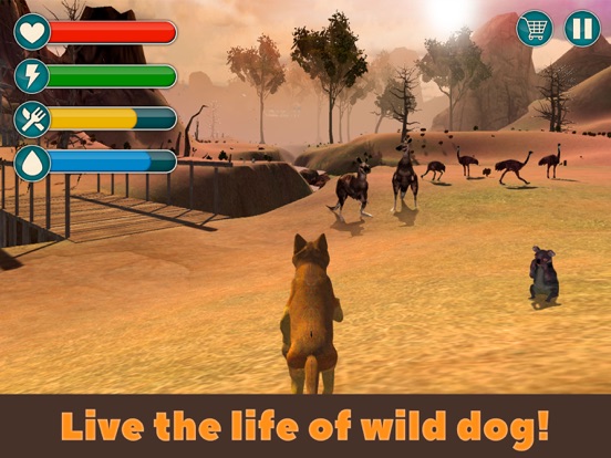 Screenshot #4 pour Wild Dingo Dog Survival Simulator 3D