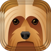 Animals in Casuals pour PC