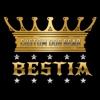 Bestia Dog Gear