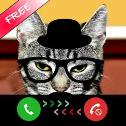 Kitty Cat Fake Phone Call - Birthday Surprise app icon