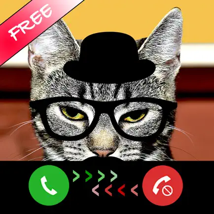 Kitty Cat Fake Phone Call - Birthday Surprise Cheats