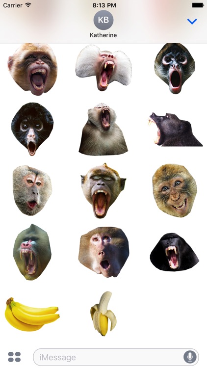 Monkey Head