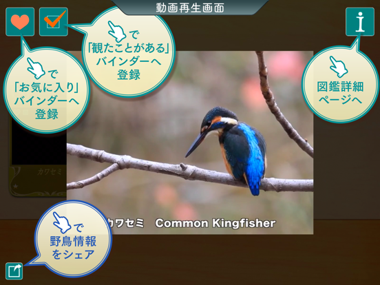 GPS動く野鳥図鑑miniのおすすめ画像4